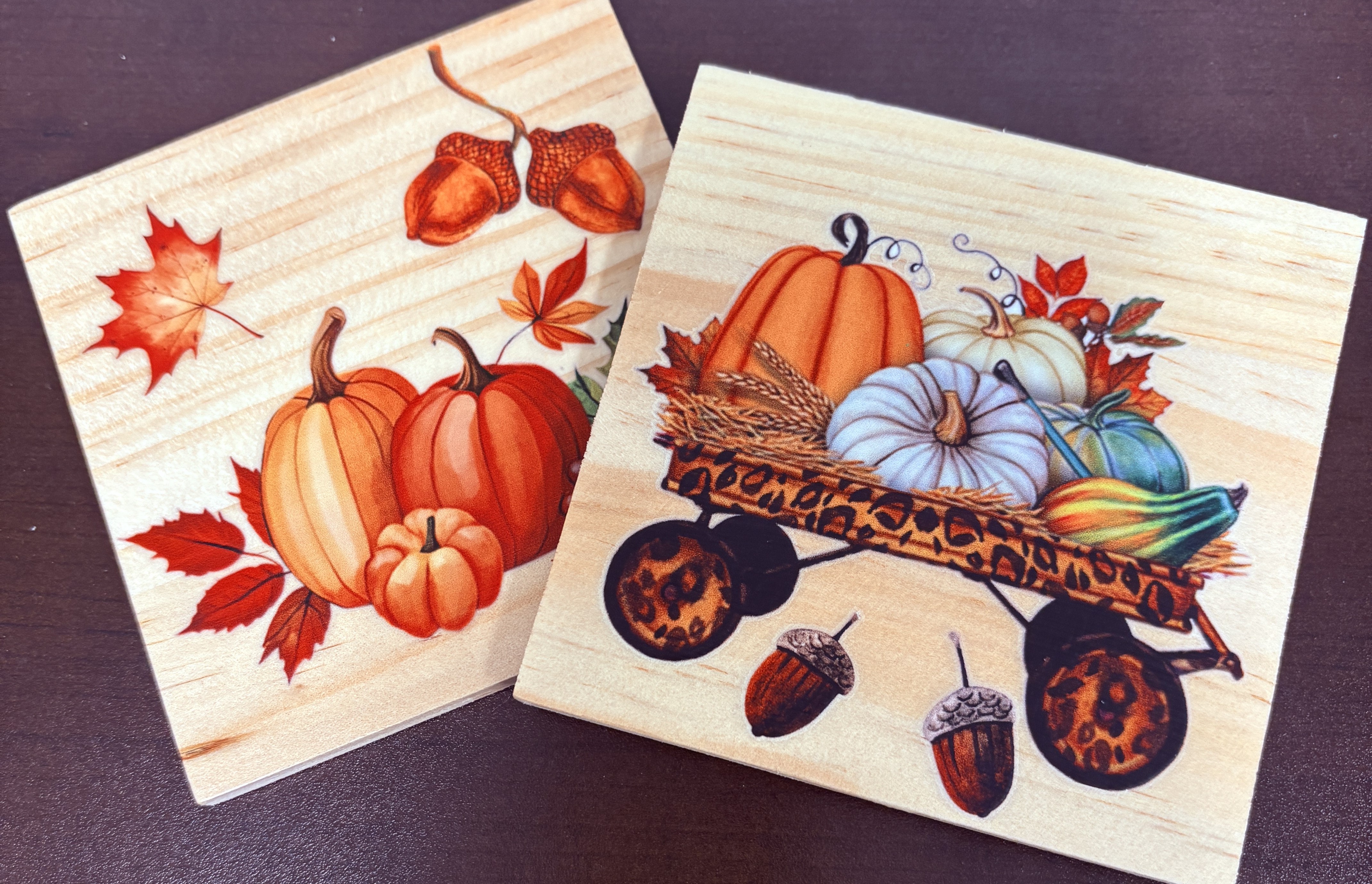 Autumn Coasters